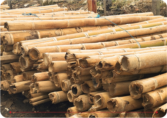 Descripción de la imagen 1