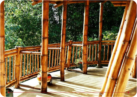 Descripción de la imagen 2