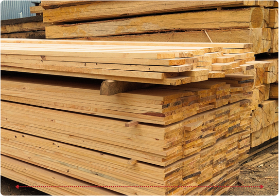 Descripción de la imagen 1