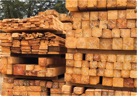 Descripción de la imagen 3