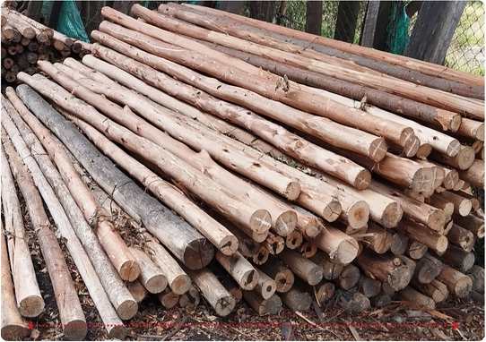 Descripción de la imagen 3