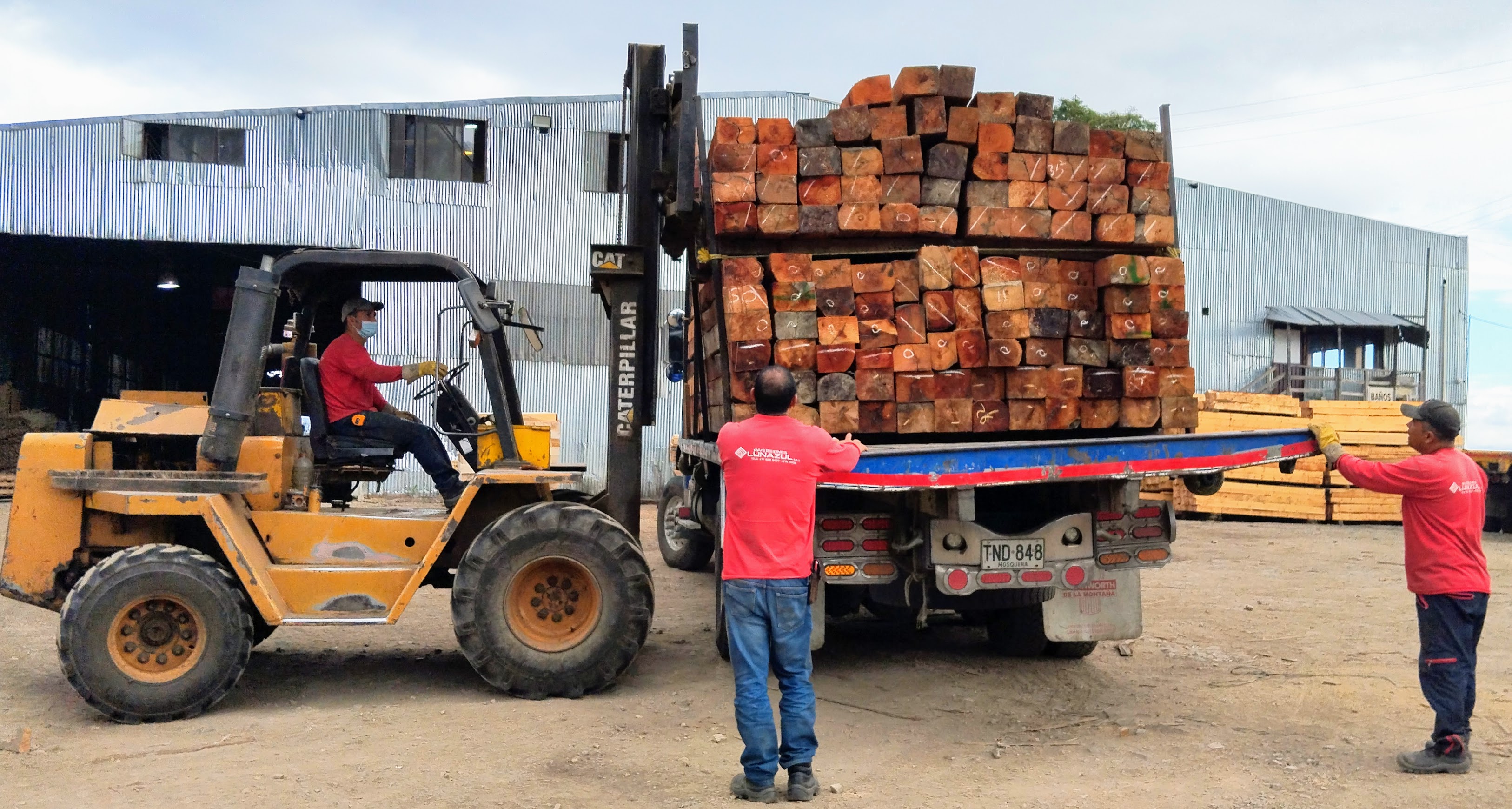 Descripción de la imagen 1