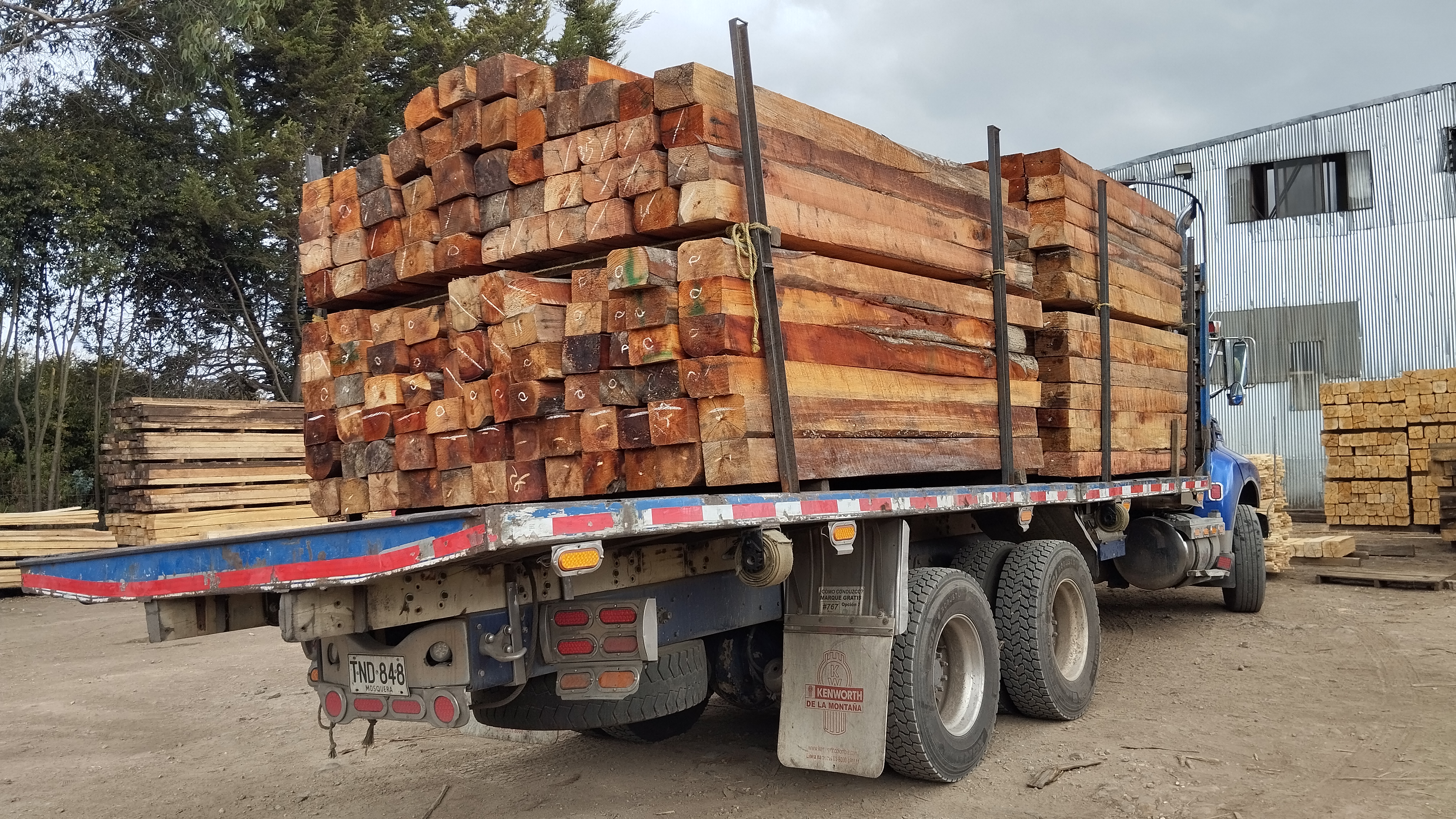 Descripción de la imagen 2