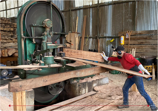 Descripción de la imagen 3